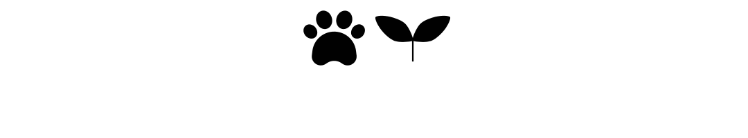 Description of Image